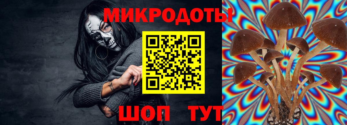 Псилоцибиновые грибы Psilocybe  Псилоцибиновые грибы мухоморы  купить наркотики цена  Пыть-Ях  Вход с VPN 